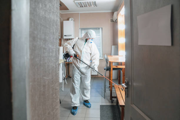 Best Basement Mold Removal  in Winter Springs, FL