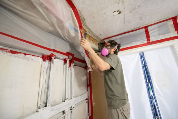 Best Mold Removal for HVAC Installations  in Winter Springs, FL