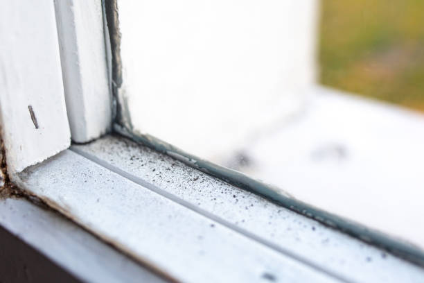 Best Mold Prevention Services  in Winter Springs, FL